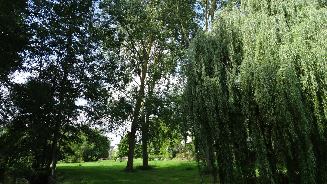 Moulin De Reigner Panzió Anché Kültér fotó