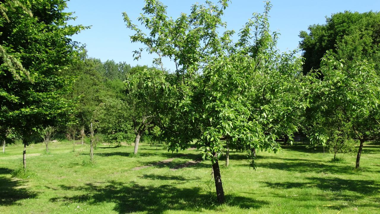 Moulin De Reigner Panzió Anché Kültér fotó