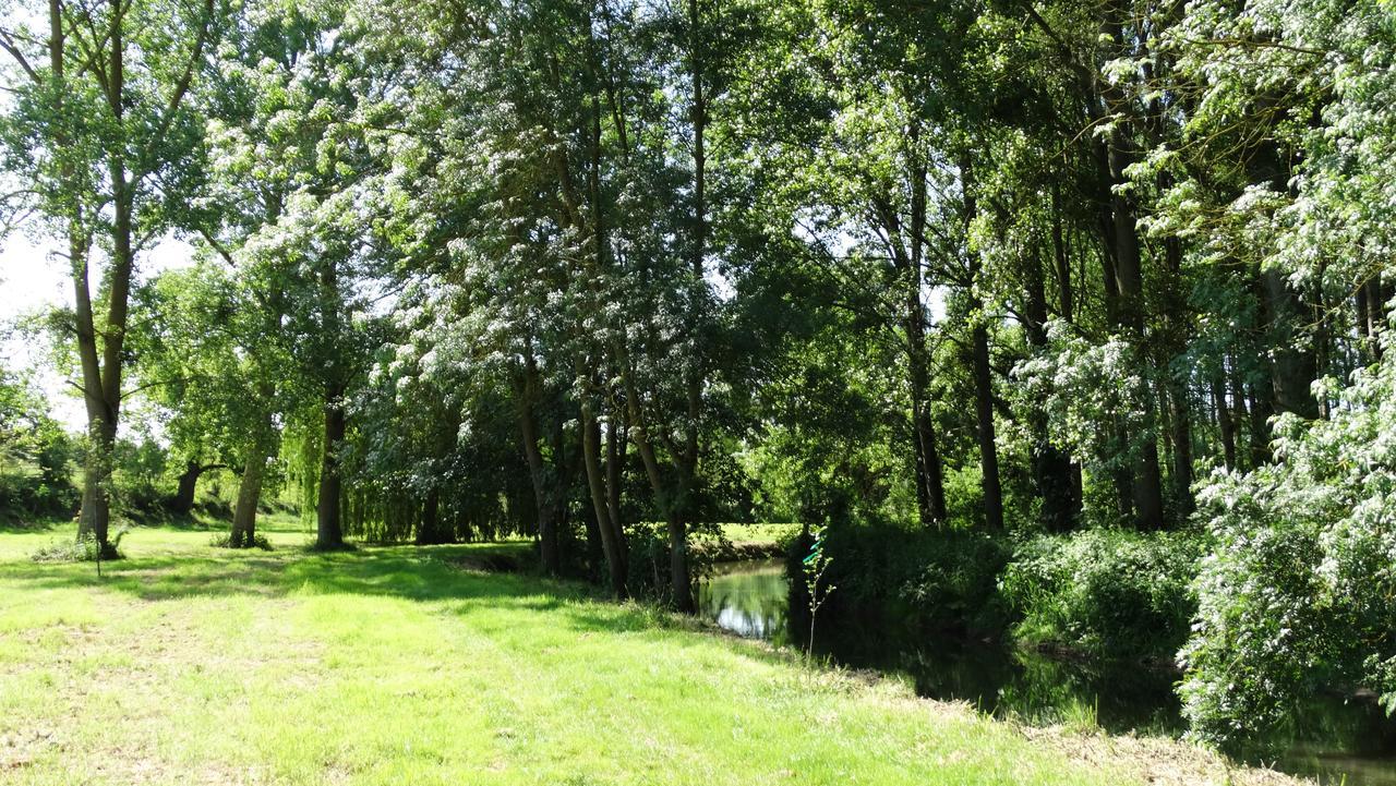 Moulin De Reigner Panzió Anché Kültér fotó